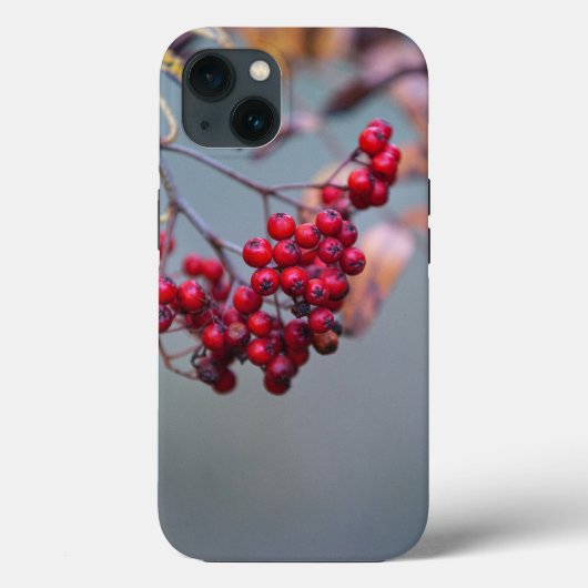 Case-Mate Tough Apple iPhone 13 Fall Hülle (Rückseite)