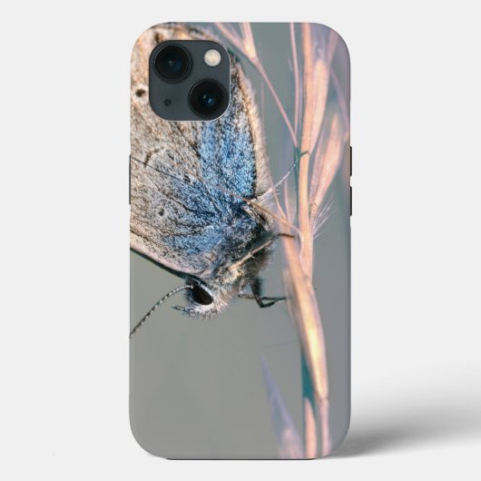 Case-Mate Tough Apple iPhone 13 Fall Hülle (Rückseite)