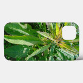 Case-Mate Tough Apple iPhone 13 Fall Hülle (Rückseite (Horizontal))