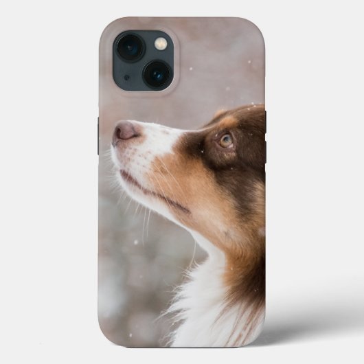 Case-Mate Tough Apple iPhone 13 Fall Hülle (Rückseite)