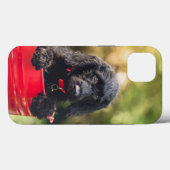 Case-Mate Tough Apple iPhone 13 Fall Hülle (Rückseite (Horizontal))