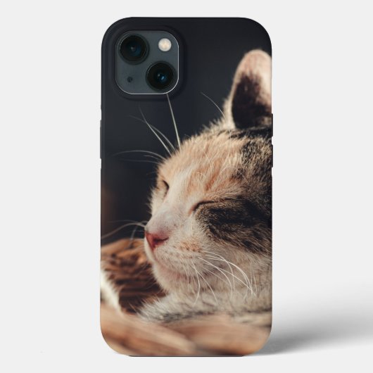 Case-Mate Tough Apple iPhone 13 Fall Hülle (Rückseite)