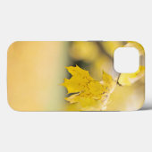 Case-Mate Tough Apple iPhone 13 Fall Hülle (Rückseite (Horizontal))