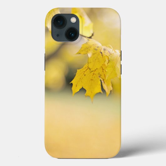 Case-Mate Tough Apple iPhone 13 Fall Hülle (Rückseite)
