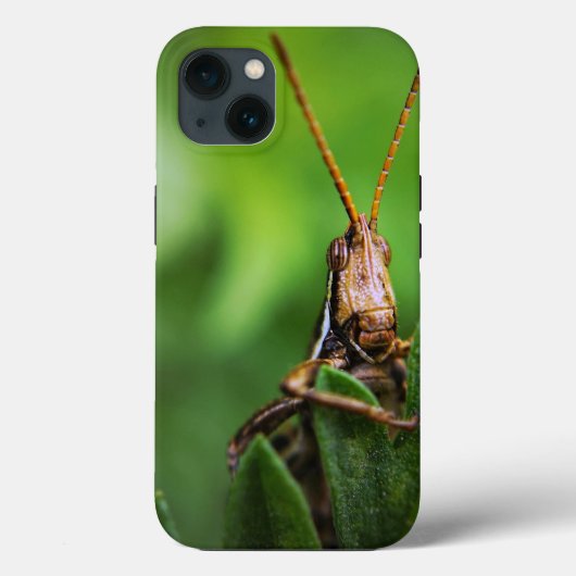 Case-Mate Tough Apple iPhone 13 Fall Hülle (Rückseite)