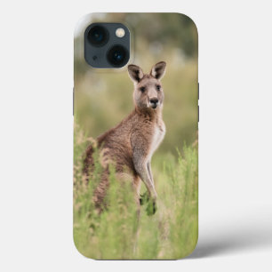 Case-Mate Tough Apple iPhone 13 Hülle