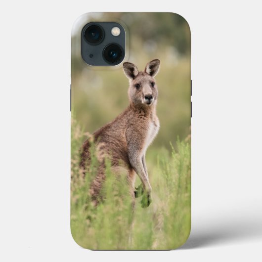 Case-Mate Tough Apple iPhone 13 Hülle (Rückseite)