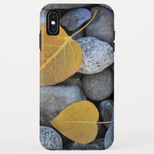 Case-Mate Tough Apple iPhone XS Max Hülle