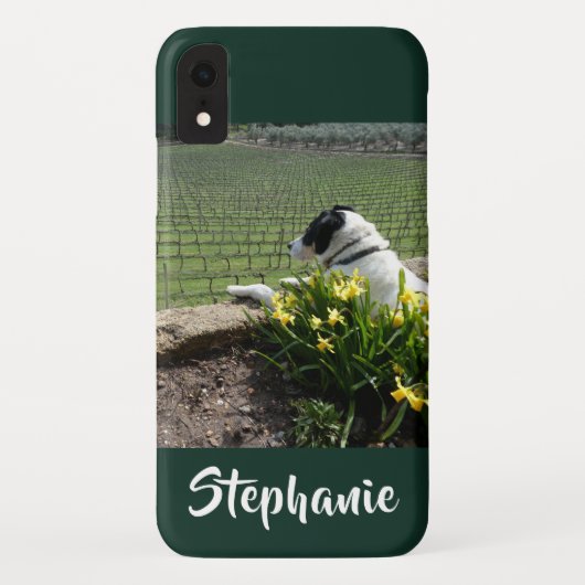 Casemate Hund und Weintrauben iPhone XR XS Max Case-Mate iPhone Hülle (Rückseite)