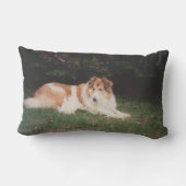 Casey Collie Lendenkissen (Rückseite)