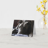 Casey, der Windhund Karte (Gelbe Blume)