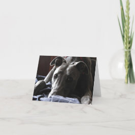 Casey, der Windhund Karte