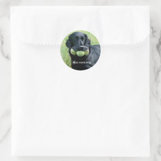 Casey Sticker (Tasche)