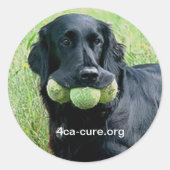 Casey Sticker (Vorderseite)