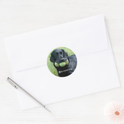 Casey Sticker (Umschlag)