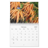 Caseys Kalender - Früchte u. Veggies (Feb 2027)