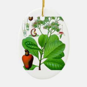 Cashewnuss Keramik Ornament