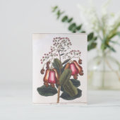 Cashewnuss Postkarte (Stehend Vorderseite)