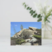 Cashibara Postkarte (Stehend Vorderseite)