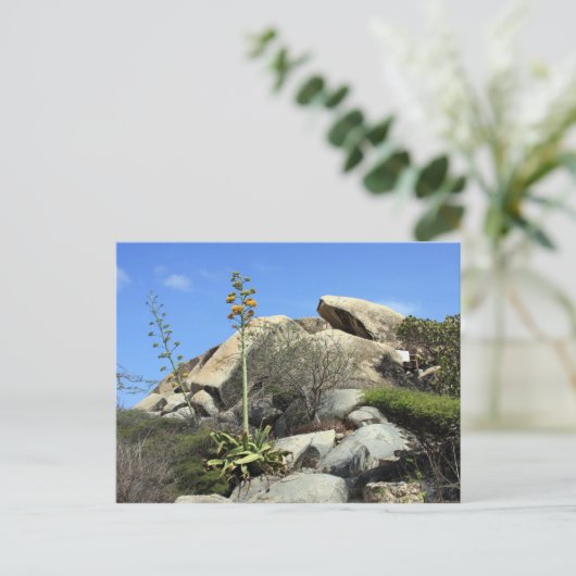 Cashibara Postkarte (Stehend Vorderseite)