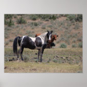 Casino Poster (Vorne)