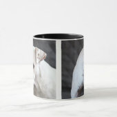 Casper die Hundekaffee-Tasse Tasse (Zentrum)