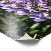 Casper Mountain Lupine - Casper WY Fotodruck (Ecke)