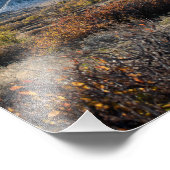 Casper Mountain Seasons - Fall Foliage - Casper WY Fotodruck (Ecke)