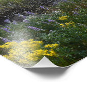 Casper Mountain Seasons - Sommer-Wildblumen Fotodruck (Ecke)