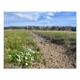 Casper Mountain Seasons - Spring Phlox - Casper WY Fotodruck