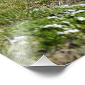 Casper Mountain Seasons - Spring Phlox - Casper WY Fotodruck (Ecke)