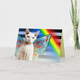 Casper Rainbow Fee | Devon Rex Cat Birthday Card Karte