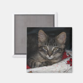 Caspian Cozy Christmas Magnet (Vorderseite/Rückseite)