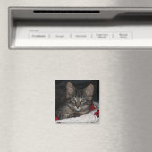 Caspian Cozy Christmas Magnet (In Situ (Geschirrspüler))