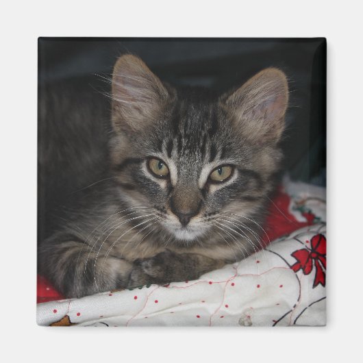 Caspian Cozy Christmas Magnet (Vorne)
