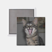 Caspian Yawning Kitten Magnet (Vorderseite/Rückseite)