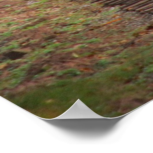 Cass Landschaftlich Railway Poster (Ecke)