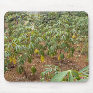 Cassava Plantation Mousepad