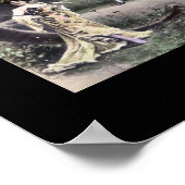 CASSIDY Alphabet Letter Name Art Poster (Ecke)