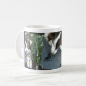 Cassie Kaffeetasse (Vorderseite Links)