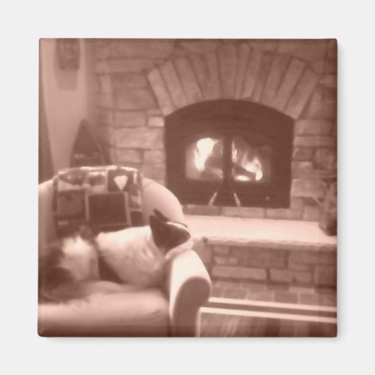 Cassie Magnet (Vorne)