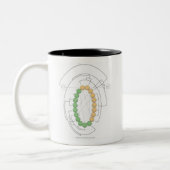 Cassini Tasse (Links)