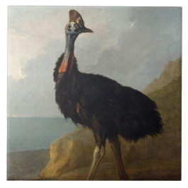 Cassowary (Australian Bird) (Wild Animal Art) Fliese