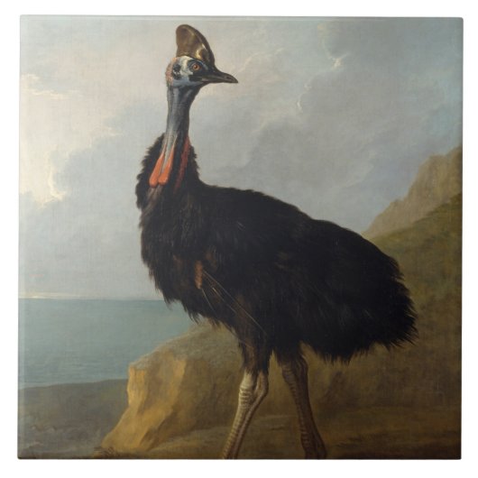 Cassowary (Australian Bird) (Wild Animal Art) Fliese (Vorderseite)
