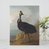 Cassowary (Australian Bird) (Wild Animal Art) Karte (Stehend Vorderseite)