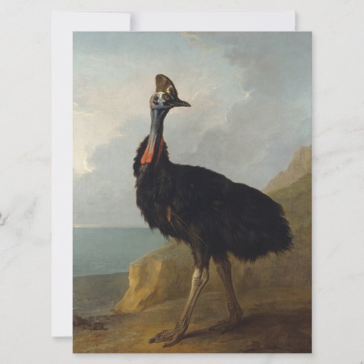 Cassowary (Australian Bird) (Wild Animal Art) Karte (Vorderseite)