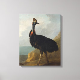 Cassowary (Australian Bird) (Wild Animal Art) Leinwanddruck