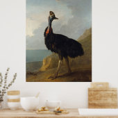 Cassowary (Australian Bird) (Wild Animal Art) Poster (Küche)