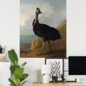 Cassowary (Australian Bird) (Wild Animal Art) Poster (Heimbüro)