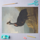 Cassowary (Australian Bird) (Wild Animal Art) Seidenpapier (Basteln)